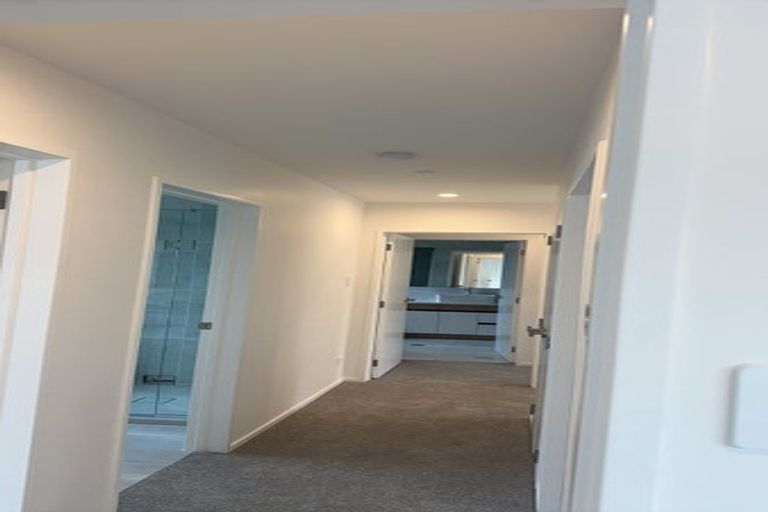 Photo of property in 48c Sunrise Avenue, Mairangi Bay, Auckland, 0630