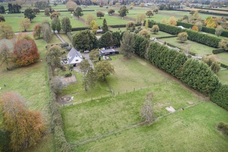 Photo of property in 195 Hautapu Road, Pukemoremore, Cambridge, 3493