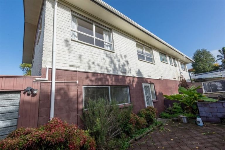 Photo of property in 441 Wallace Terrace, Te Awamutu, 3800