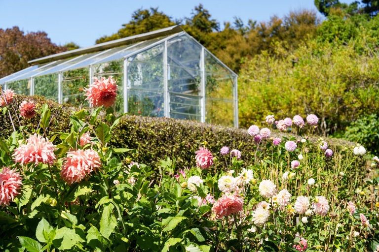 Photo of property in 54 Scurr Road, Scroggs Hill, Dunedin, 9076