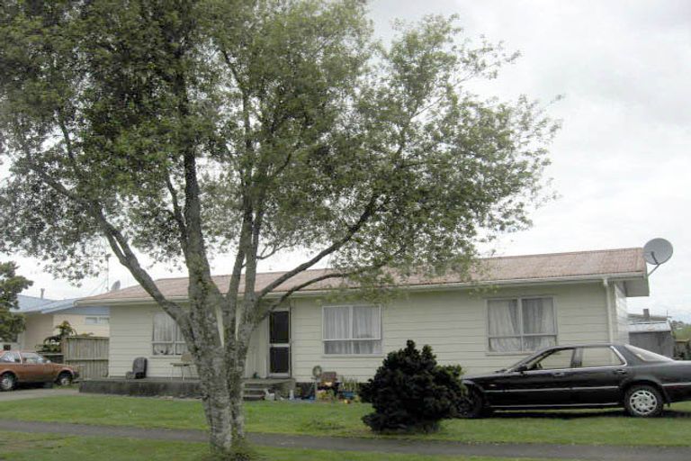 Photo of property in 52 Ascot Place, Te Awamutu, 3800