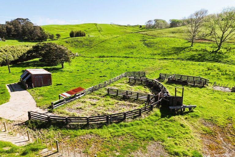 Photo of property in 445 Avoca Road, Mamaranui, Dargaville, 0372