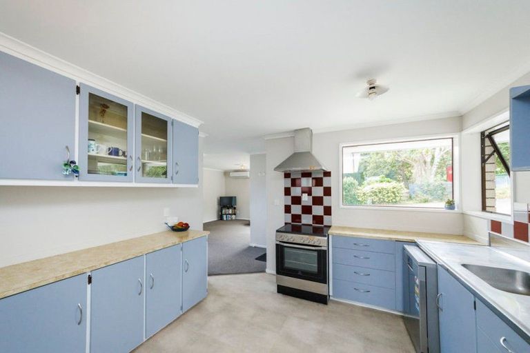 Photo of property in 155a Ruahine Street, Roslyn, Palmerston North, 4414