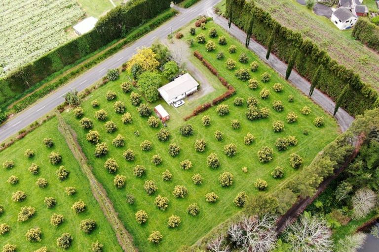 Photo of property in 117 Rea Road, Tahawai, Katikati, 3178