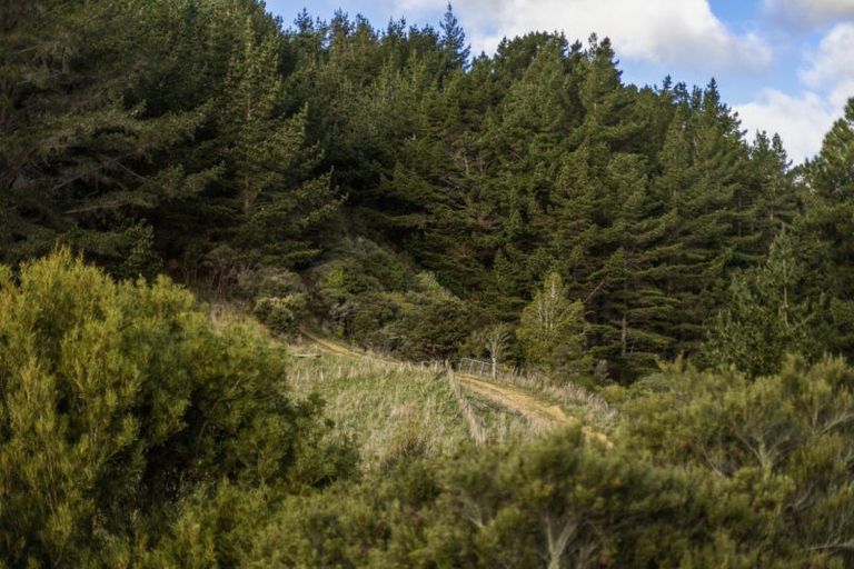 Photo of property in 457b Paremata Haywards Road, Judgeford, Porirua, 5381