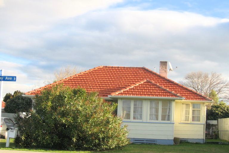 Photo of property in 1020 Fitzroy Avenue, Mahora, Hastings, 4120