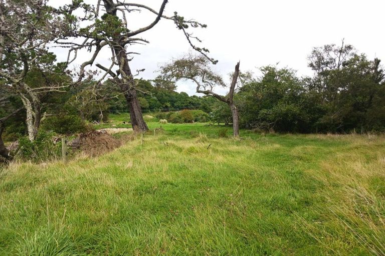 Photo of property in 37 Mokau Road, Oakura, Hikurangi, 0184