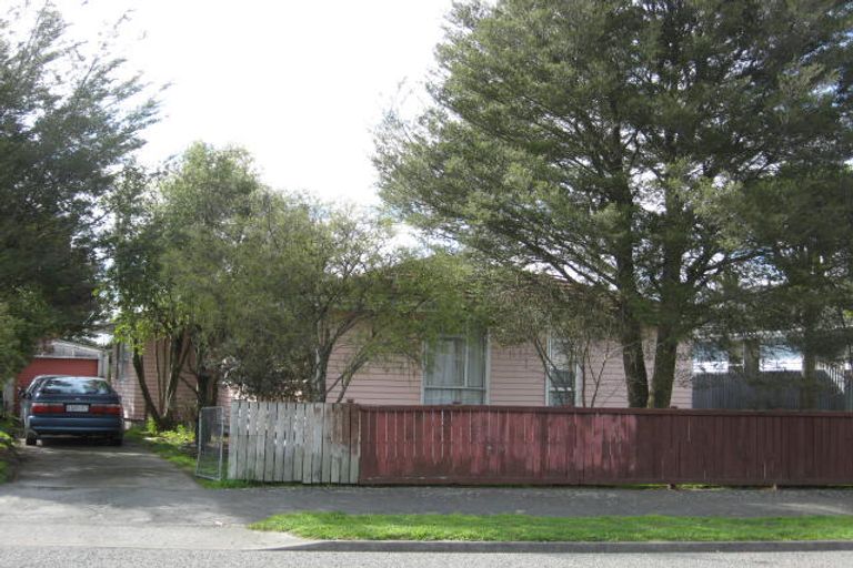 Photo of property in 21 Johnstone Street, Masterton, 5810