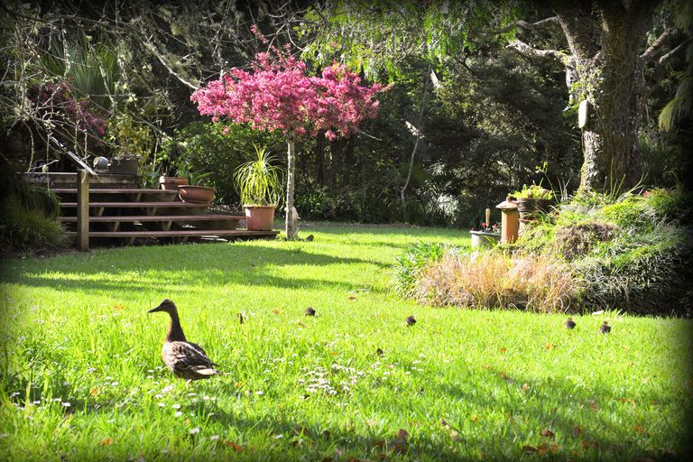 Photo of property in 58 Birdsall Road, Whangateau, Warkworth, 0985