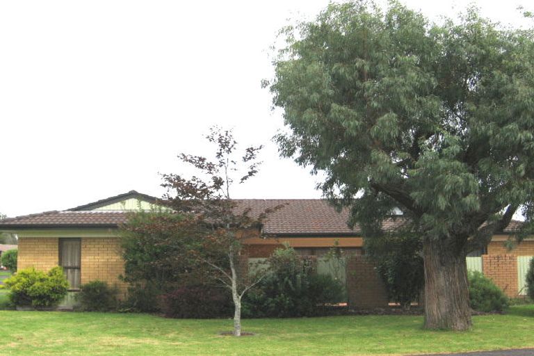 Photo of property in 11 Ti Nana Crescent, Henderson, Auckland, 0610