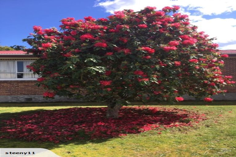 Photo of property in 387 Mossop Road, Kinleith, Tokoroa, 3491