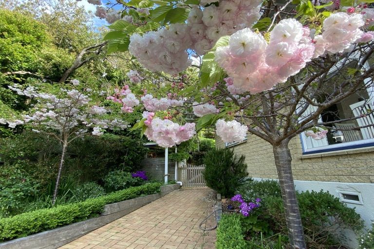 Photo of property in 5 Kellsmere Crescent, Island Bay, Wellington, 6023