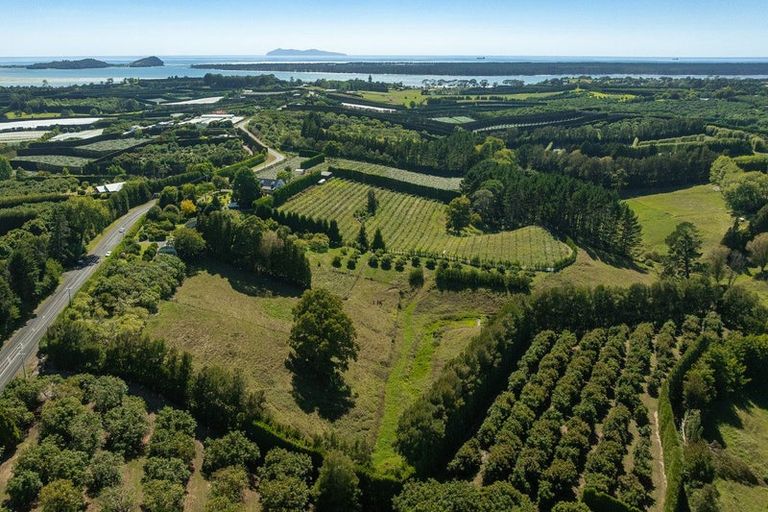 Photo of property in 40 Ongare Point Road, Tahawai, Katikati, 3170