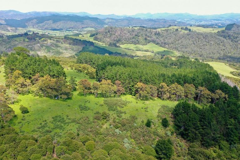 Photo of property in 425m Boat Harbour Road, Whenuakite, Whitianga, 3591