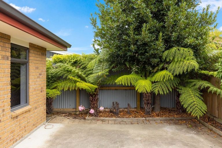 Photo of property in 53a Mowat Street, Springlands, Blenheim, 7201