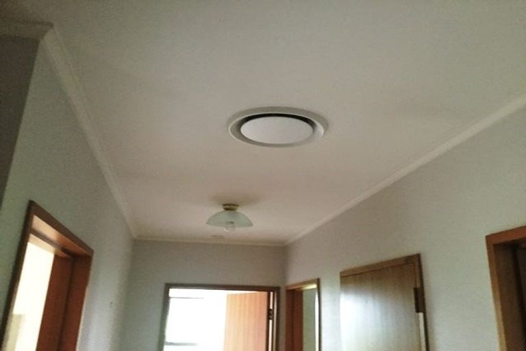 Photo of property in 8 Daley Place, Winton, 9720