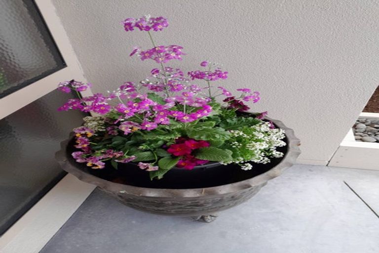 Photo of property in 5 Ballantyne Way, Aongatete, Katikati, 3178