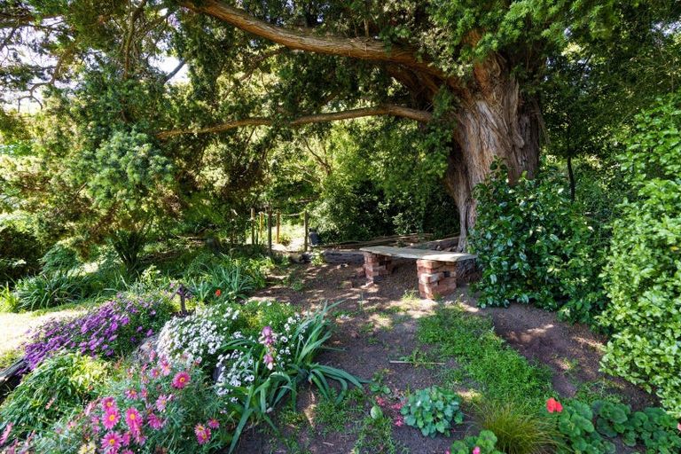 Photo of property in 20 Greenhithe Street, Waihola, Milton, 9073