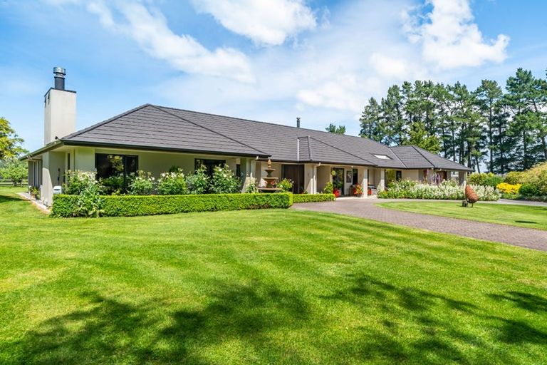 Photo of property in 41 Andrew Street, Kuripuni, Masterton, 5810