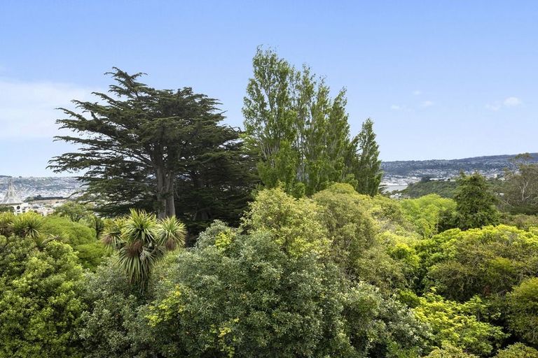 Photo of property in 49 Highcliff Road, Andersons Bay, Dunedin, 9013