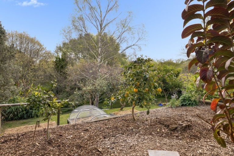 Photo of property in 45 Acornia Close, Ohauiti, Tauranga, 3112