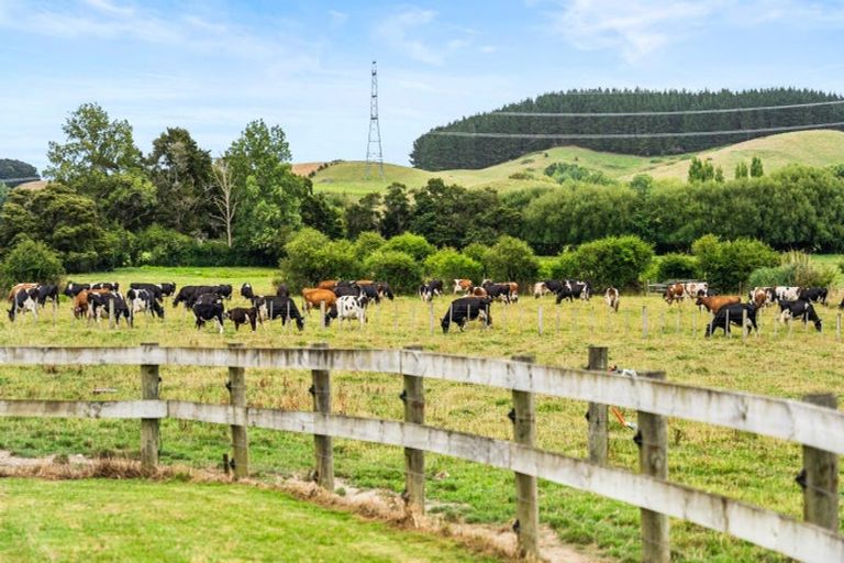 Photo of property in 353 Kopuku Road, Maramarua Forest, Te Kauwhata, 3781
