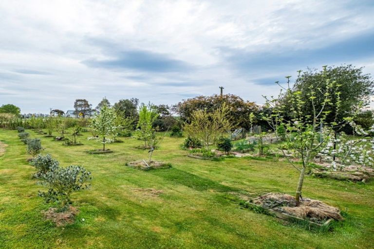 Photo of property in 20 Willowbridge Road, Waimate, 7980