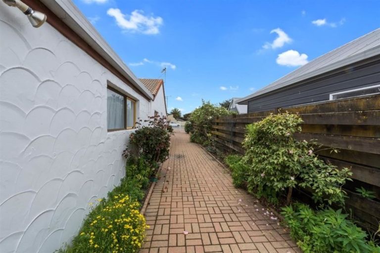 Photo of property in 8a Waitui Grove, Mount Maunganui, 3116