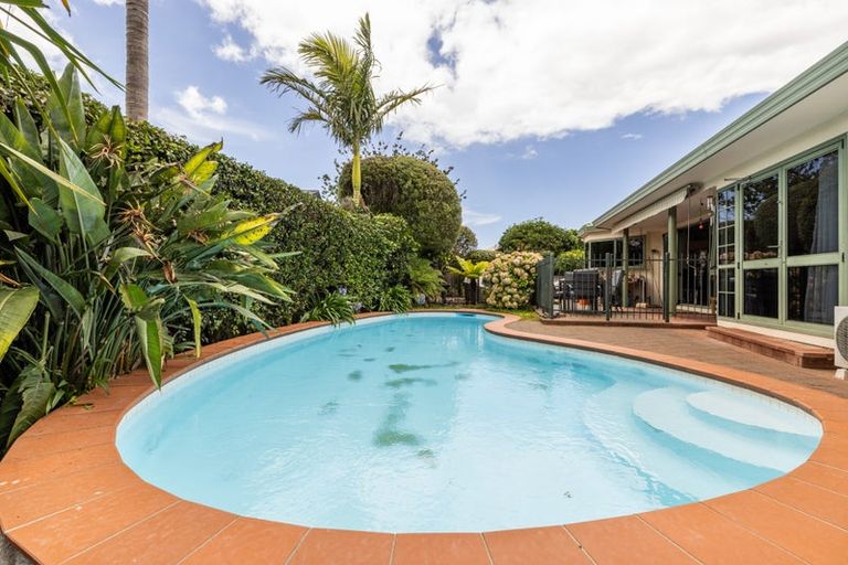 Photo of property in 19 Kingsgate Avenue, Havelock North, 4130