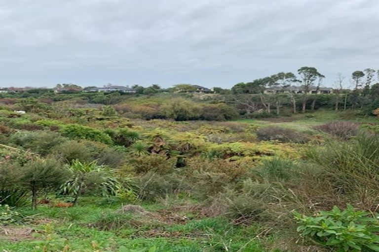 Photo of property in 51 Roy Hilton Drive, Flagstaff, Hamilton, 3210