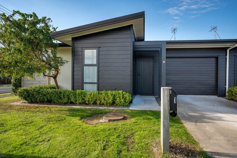 Photo of property in 1/1 Murray Street, Maeroa, Hamilton, 3200