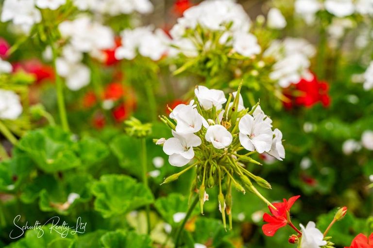 Photo of property in 7 Hebe Lane, Maungaturoto, 0520