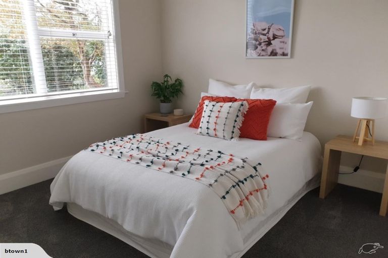 Photo of property in 39 Petrie Street, Richmond, Christchurch, 8013