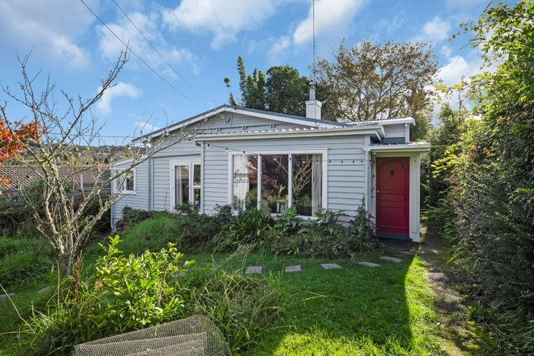 Photo of property in 117 Hutchinson Avenue, New Lynn, Auckland, 0600