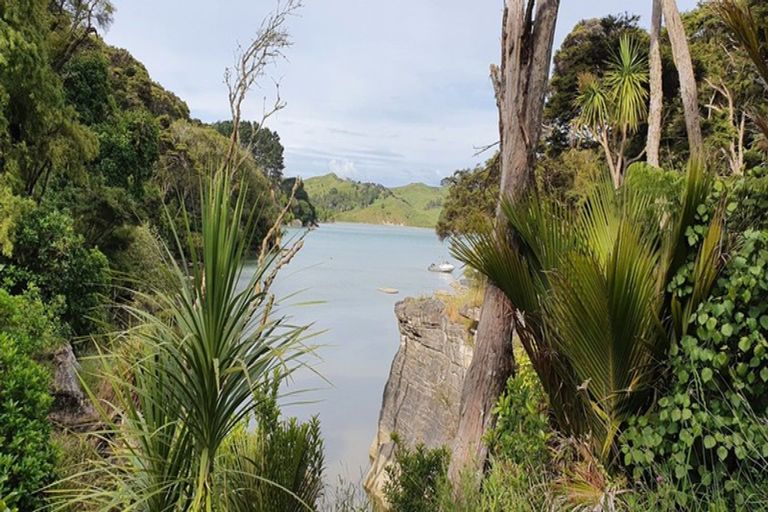 Photo of property in 503 Te Akau Wharf Road, Te Akau, Ngaruawahia, 3793