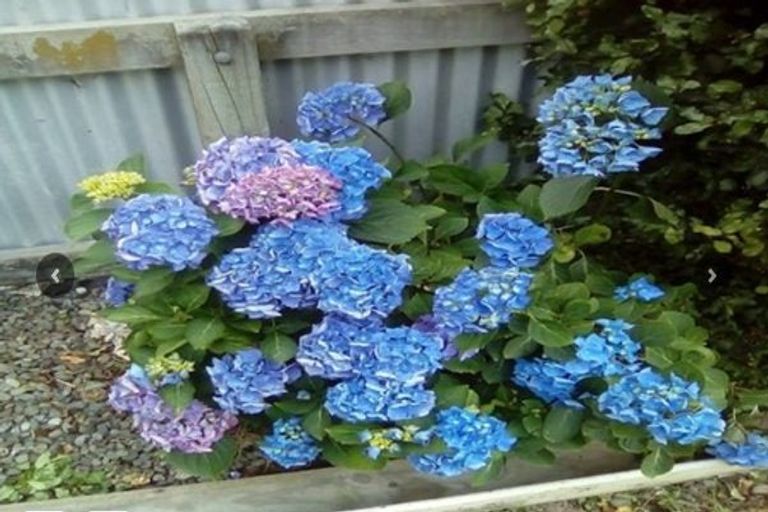 Photo of property in 2 Hobson Place, Takaro, Palmerston North, 4412