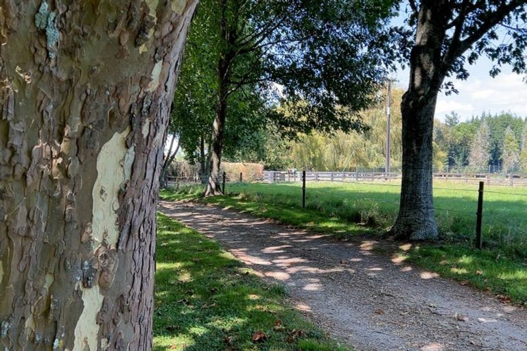 Photo of property in 164 Fencourt Road, Cambridge, 3496