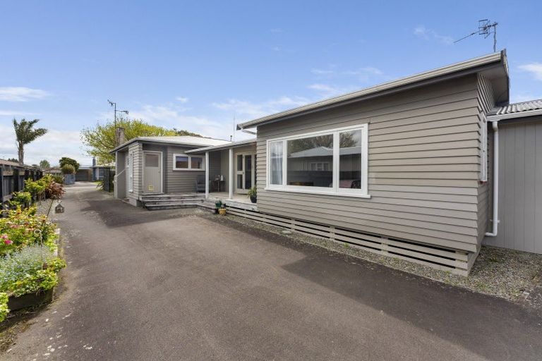 Photo of property in 31 Windsor Street, Terrace End, Palmerston North, 4410
