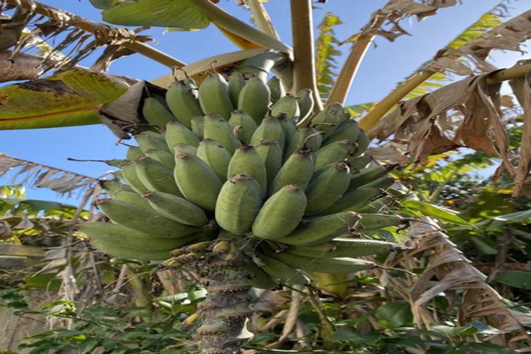 Photo of property in 133 Pouewe Street, Kawhia, 3889