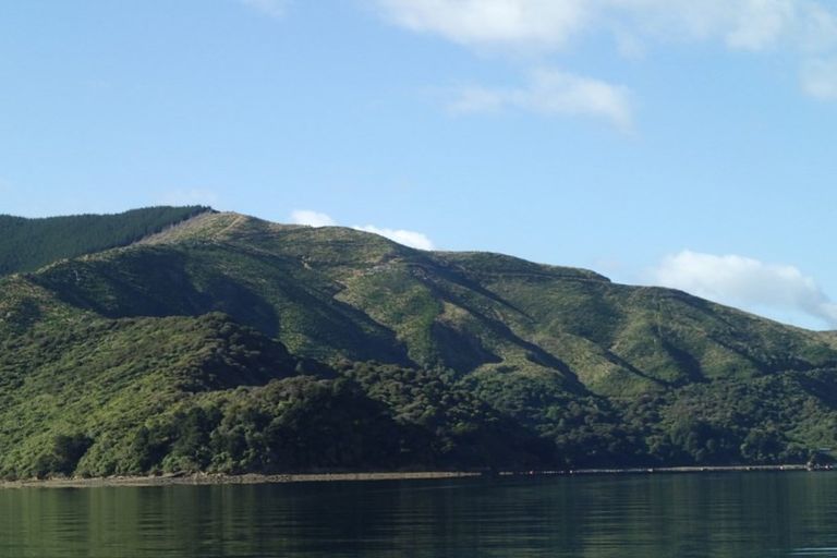 Photo of property in Elie Bay Road, Crail Bay, Marlborough Sounds, 7282