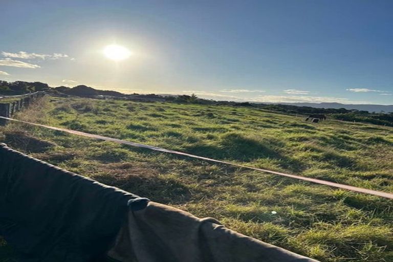 Photo of property in 201 Grahams Beach Road, Manukau Heads, Waiuku, 2684