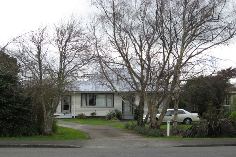 Photo of property in 9 Montgomery Street, Levin, 5510