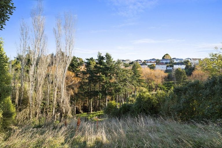 Photo of property in 32 Panmure Avenue, Calton Hill, Dunedin, 9012