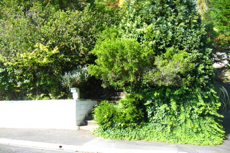 Photo of property in 50 Grey Street, North East Valley, Dunedin, 9010