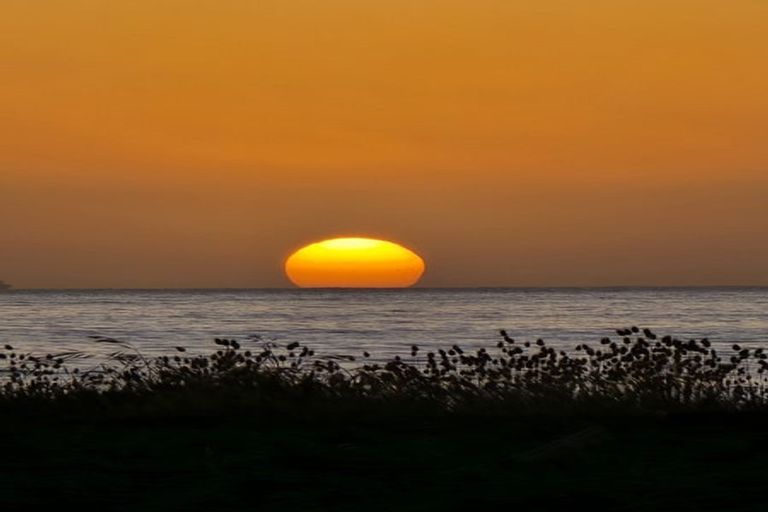 Photo of property in 208 Rarangi Beach Road, Rarangi, Blenheim, 7273