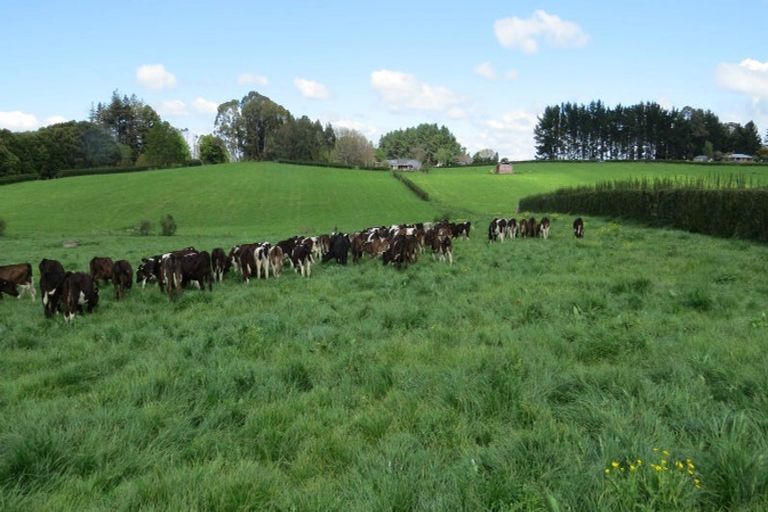 Photo of property in 58 Ryburn Road, Ohaupo, 3883