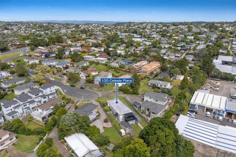 Photo of property in 1/20 Celeste Place, Totara Vale, Auckland, 0627