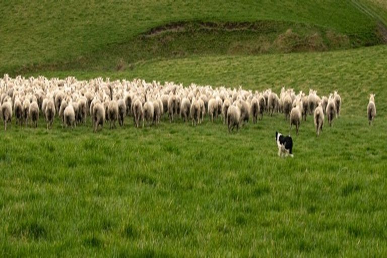 Photo of property in 125-127 Bell Road, Waiwhetu, Lower Hutt, 5010