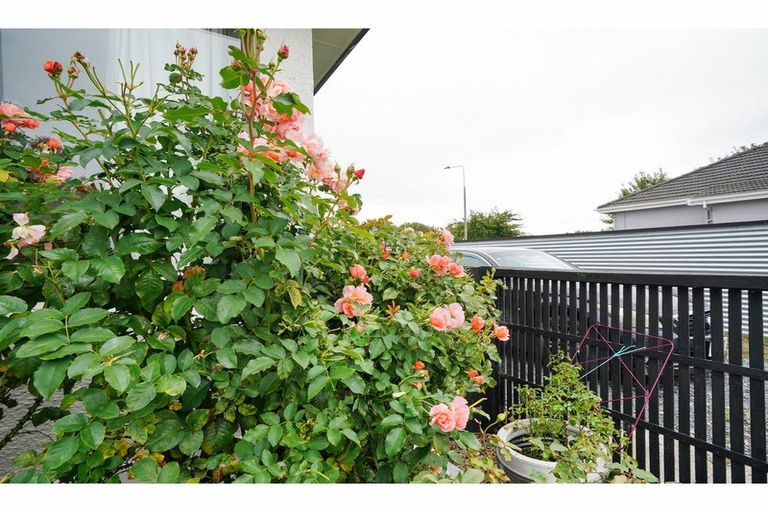 Photo of property in 192 Princes Street, Strathern, Invercargill, 9812