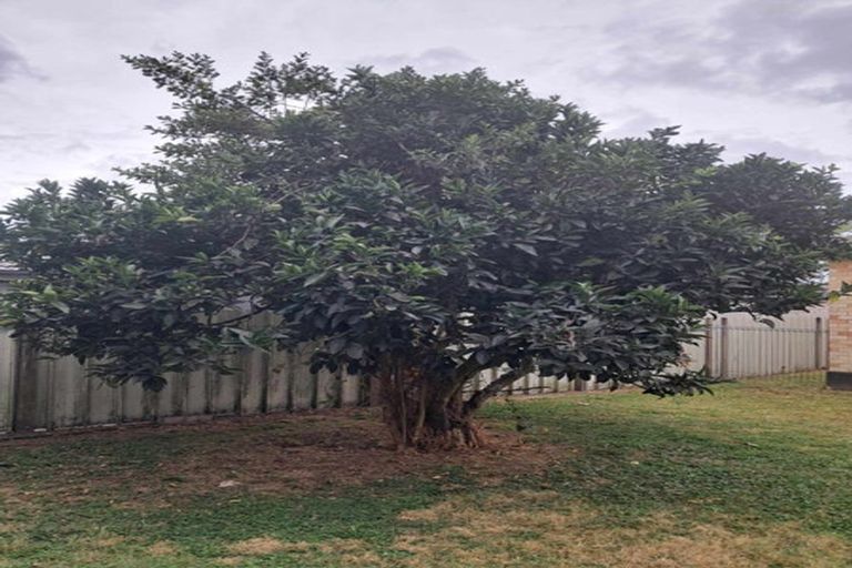 Photo of property in 39 Kenney Crescent, Fairfield, Hamilton, 3214